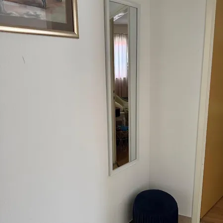 Vulic Омиш