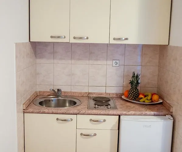 Apartman Vulic *