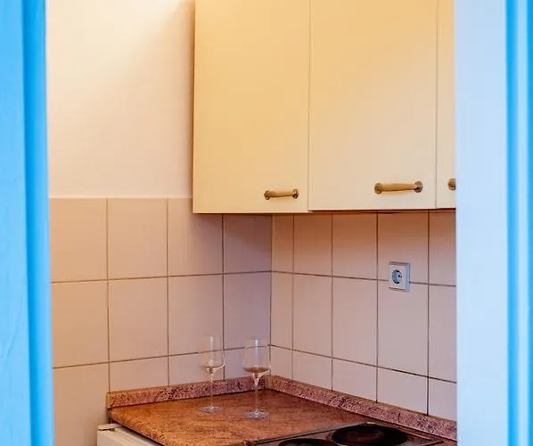 Apartman Vulic *